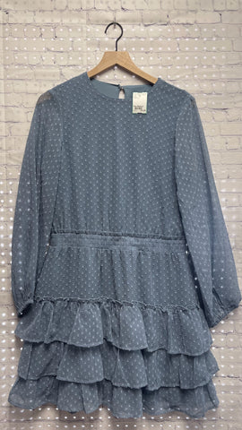 Size Medium Ladies Blue Express Dress