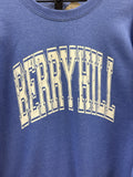 Size XL Ladies Blue Gildan Sweatshirt