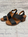 Size 9 Ladies Black Heel