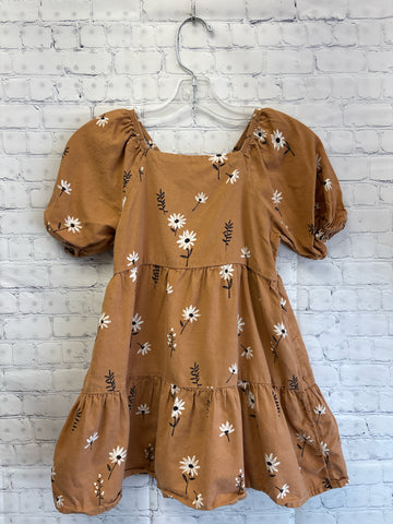 Size 5T Girl's Brown Floral Little Co. Dress